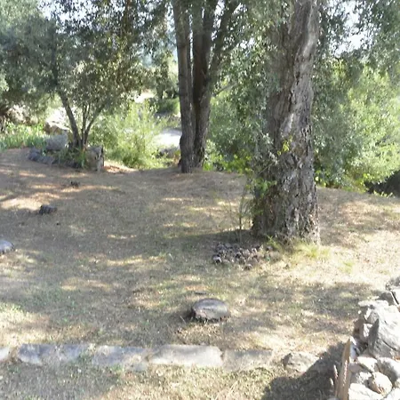 Conca * Conca